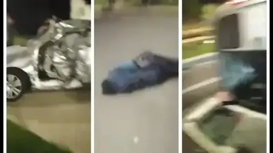 أكادير : كلب ضال يتسبب في حادثة سير مميتة بمدخل بنسركاو