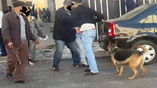 توقيف ” موزع ” مخدرات مؤمن بكلب حراسة في بيوكرى