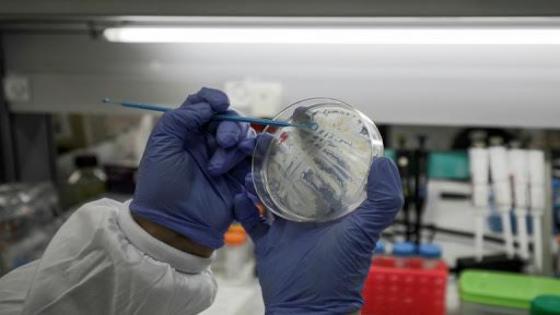 تسجيل 175 إصابة مؤكدة جديدة وشفاء 17 شخصا