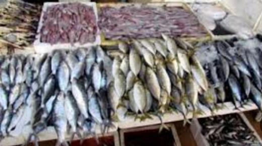 هل من مراقبة صارمة ‘ للأسماك ” المعروضة للبيع بانزكان ؟؟؟