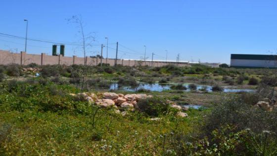 كارثية بيئية بجوار المجزرة الجماعية لسيدي بيبي