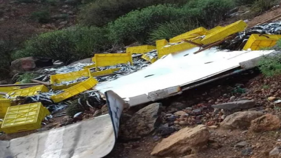 خسائر مادية في حمولة شاحنة محملة بالاخطبوط والسمك