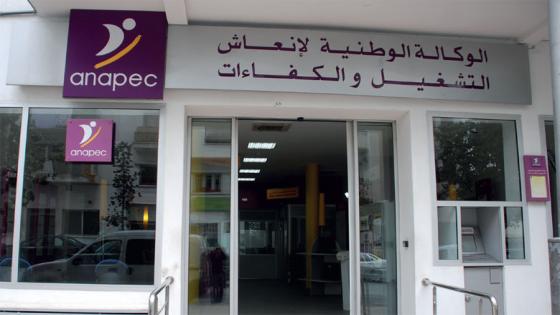 (أنابيك): إدماج أزيد من 118 ألف باحث عن الشغل في الوسط المهني خلال 2019