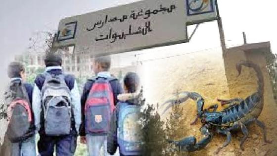 لسعة عقرب سامة ترسل تلميذا بأولاد تايمة إلى قسم المستعجلات