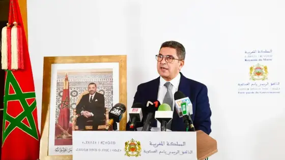 أمزازي:أزيد من 30 ألف طفل في وضعية إعاقة سيتابعون دراستهم بالمؤسسات الدامجة خلال 2021