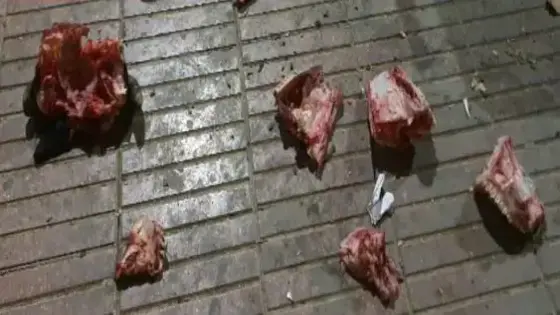 عثور سكان أيت ملول على بقايا حيوانية متناثرة يثير استنكاراً وقلقاً