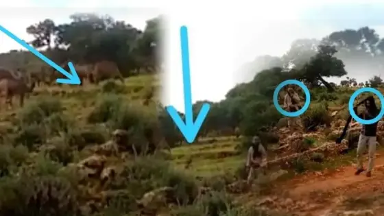 جمعية تامونت ند العرباء تصدر بيانا للرأي العام بخصوص الرعي الجائر