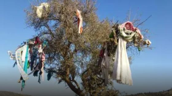كيف تحولت غابة بأكادير الى ملجأ للسحرة والمشعوذين؟