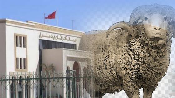 بلاغ لعمالة إنزكان أيت ملول بمناسبة عيد الأضحى لعام 1442 هجرية