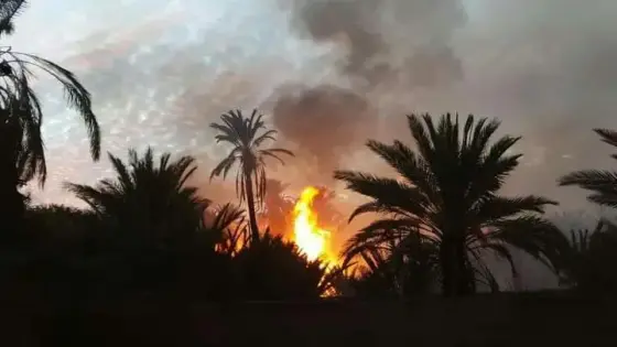 إحتراق ” واحة النخيل ” بتغجيجت نواحي گلميم