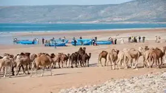 “نشاط ترفيهي” يقود لإغلاق مؤسسة فندقية بإمي ودار