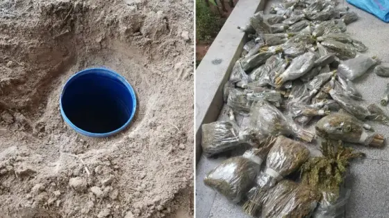 تيكيوين : حجز كمية من القنب الهندي بضفاف واد سوس وتوقيف الجاني