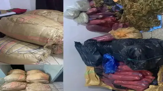 سقوط شبكة لترويج المخدرات في قبضة درك تارودانت