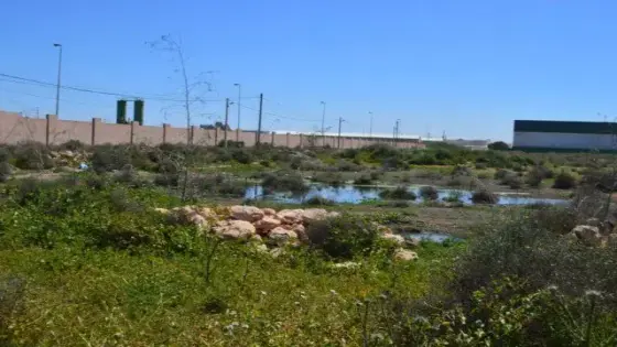 كارثية بيئية بجوار المجزرة الجماعية لسيدي بيبي