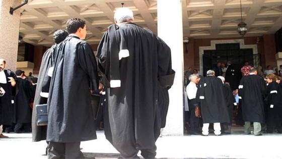 هل تحذو وزارة العدل حذو قطاع التربية الوطنية في تسقيف سن الولوج إلى مهنة المحاماة؟