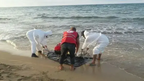 مياه الساحل تلفظ جثة مواطن في إنشادن