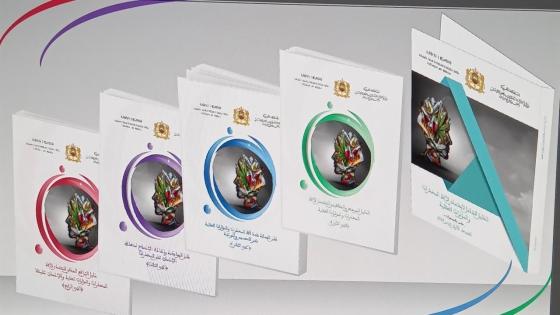 الوزارة المكلّفة بحقوق الإنسان تصدر دليلا حول التصدي للمخدرات والمؤثرات العقلية