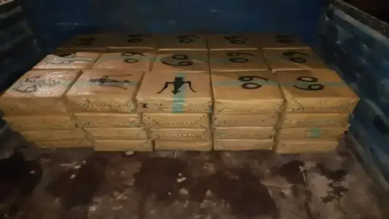 ميناء طنجة المتوسط: إحباط محاولتين منفصلتين لتهريب 745 كيلوغراما من مخدر الشيرا