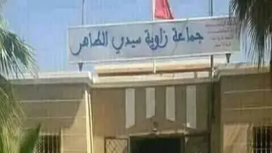 عصابة مدججة بالأسلحة البيضاء و”المقالع” تهجم على ملك جماعي بجماعة زاوية سيدي الطاهر ضواحي تارودانت