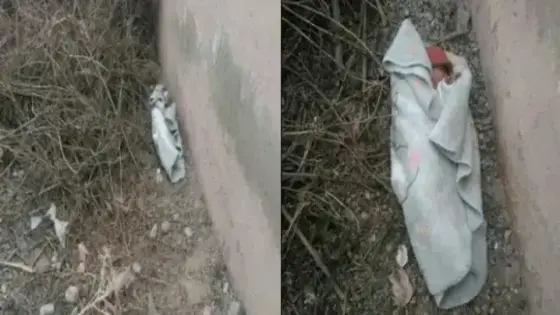 ايت ملول: العثور على جثة رضيع مرمية بغابة أدمين
