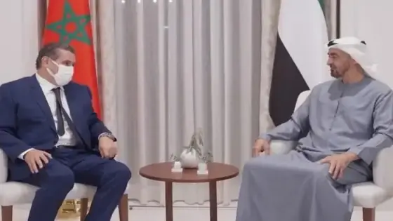 أخنوش يمثل الملك محمد السادس بأبوظبي