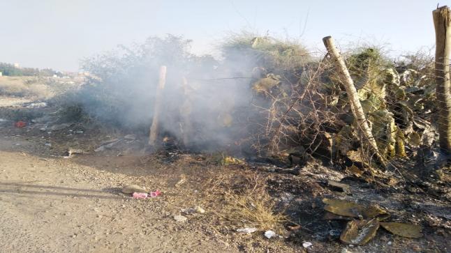 مجهولون يضرمون النار في نبات الصبار بحي الحديب أولاد تايمة