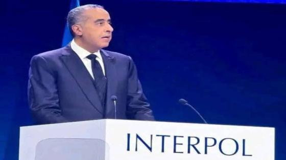 الإنتربول يفتتح مركز تدريب رائد للشرطة في إفران: تعزيز التعاون الأمني الإقليمي قبل الجمعية العامة في مراكش