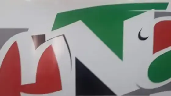 بعد قرار الحل.. تعاضدية الفنّانين تقاضي وزارتي الشغل والاقتصاد