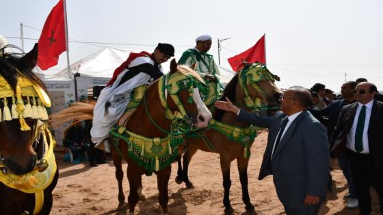 إشراف السيد العامل على المباراة الجهوية للفروسية التقليدية