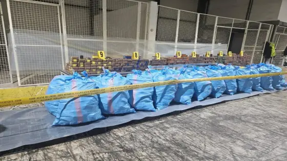 إحباط تهريب أزيد من 8 أطنان من الشيرا بميناء طنجة المتوسط