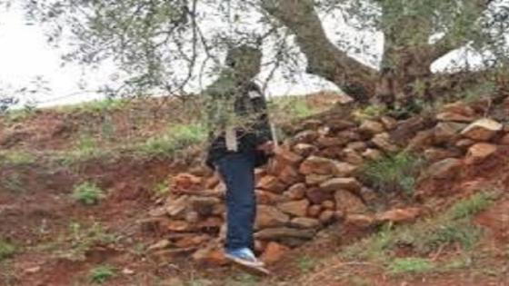 العثور على جثة مجهولة الهوية نواحي أكادير