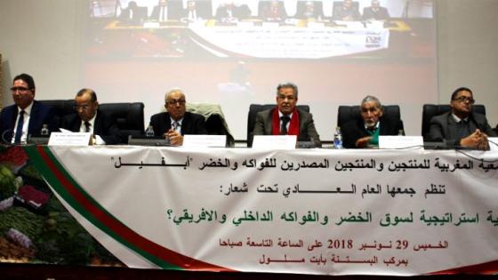 ايت ملول : عامل الاقليم يحضر افتتاح الجمع العام لجمعية “ابفيل” وأضرضور يثمن الانفتاح على السوق الأفريقية