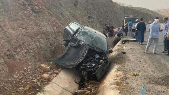 حيوان يتسبب في حادثة سير خطيرة قرب وادي ماسة