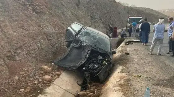 حيوان يتسبب في حادثة سير خطيرة قرب وادي ماسة