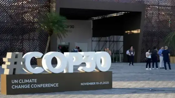لقاء بطنجة للإعلان عن مشاركة المجتمع المدني في “ كوب 30 ” 