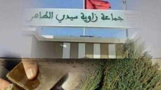 في صمت تام من طرف الجهات المسؤولة انتشار مفضوح لتجارة المخدرات بمنطقة أولاد ابراهيم ضواحي تارودانت