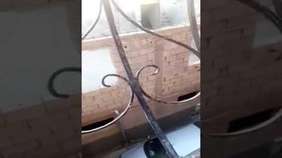 بعد تداول آلة تصدر مثل الصوت المنسوب للجن بأيت ملول، المنجمون والرقاة في مأزق عظيم