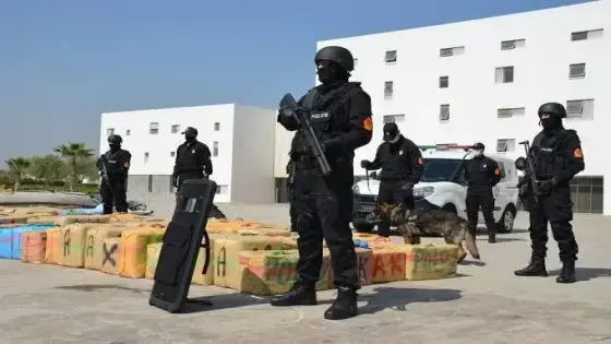 البسيج يُفكك شبكة دولية لتهريب المخدرات ويُحبط عملية ضخمة لحجز 16 طنًا من الشيرا قبالة سواحل البيضاء
