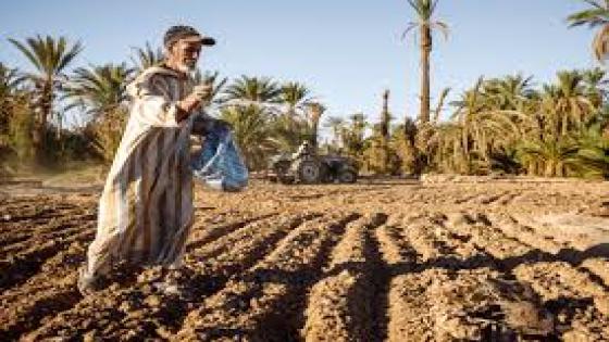اشتوكة : مواطن يعثر على هيكل عظمي بشري بعد عملية حرق الارض
