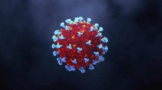 المغرب يعلن اكتشاف أول حالة إصابة واردة بالسلالة المتحولة لفيروس كورونا