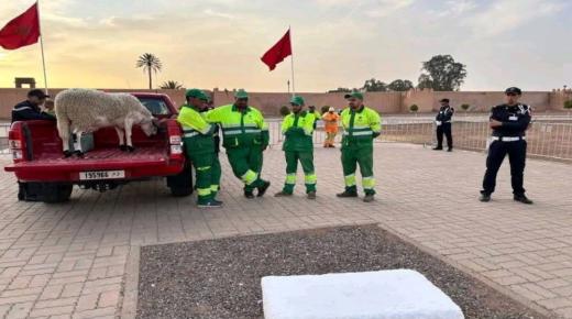 زلزال نحر الأضحية نيابة عن المغاربة يسقط مسؤولين كبار بالمجلس العلمي ووزارة الأوقاف