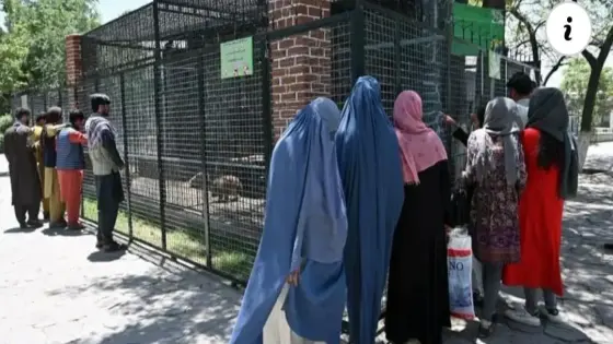 طالبان تفصل بين الجنسين في حدائق كابول وتخصص أياما للنساء
