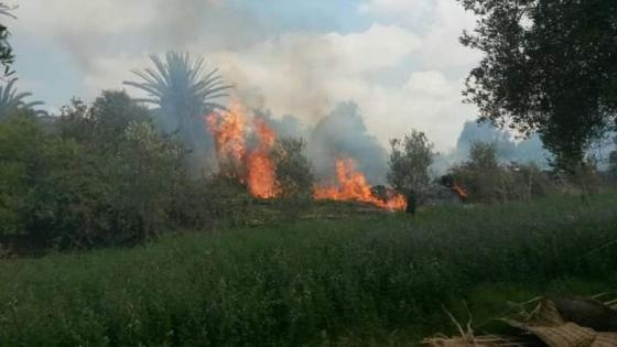 حريق مهول يأتي على حقول في ماسة