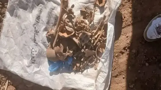 العثور على عظام بشرية مشتبهة في أرض فلاحية: تحقيق أمني وتحاليل مخبرية