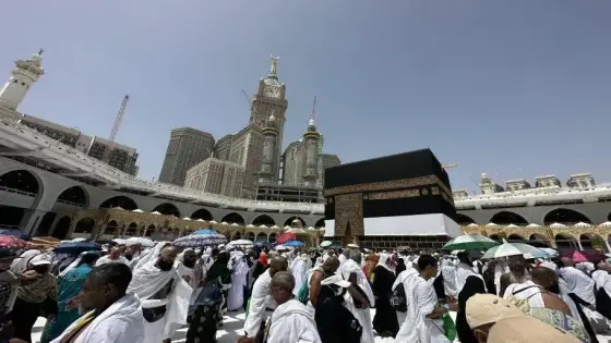 “زيادة مصاريف الحج لعام 1445هـجرية فاصيل القرارات والتوصيات”