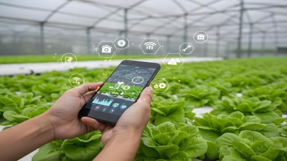أكادير تحتضن الملتقى الدولي الأول للذكاء الاصطناعي والفلاحة