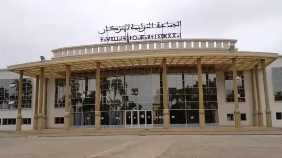 التحريض ضد مؤسسة العامل.. محامٍ يطالب بفتح تحقيق مع رئيس جماعة إنزكان