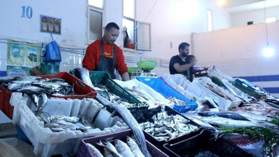 جولة بالصوت والصورة بسوق السمك ببيوكرى