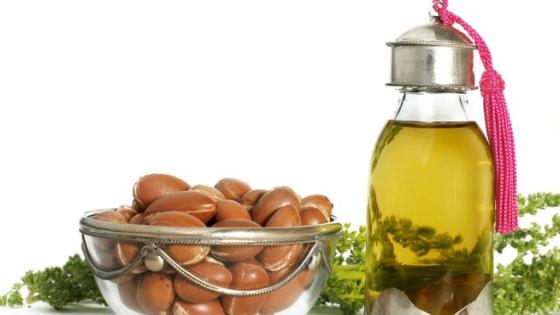 بمناسبة اليوم العالمي لشجرة الأركان.. إحداث جائزة دولية تحت اسم “جائزة أركانيا للقانون البيئي”