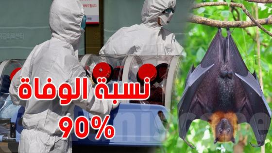 بعد كورونا فيروس ” نيباه ” يدخل الرعب في نفوس المغاربة